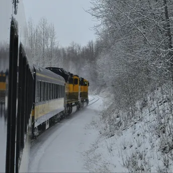 Train travelling through snowy countryside during winter weather