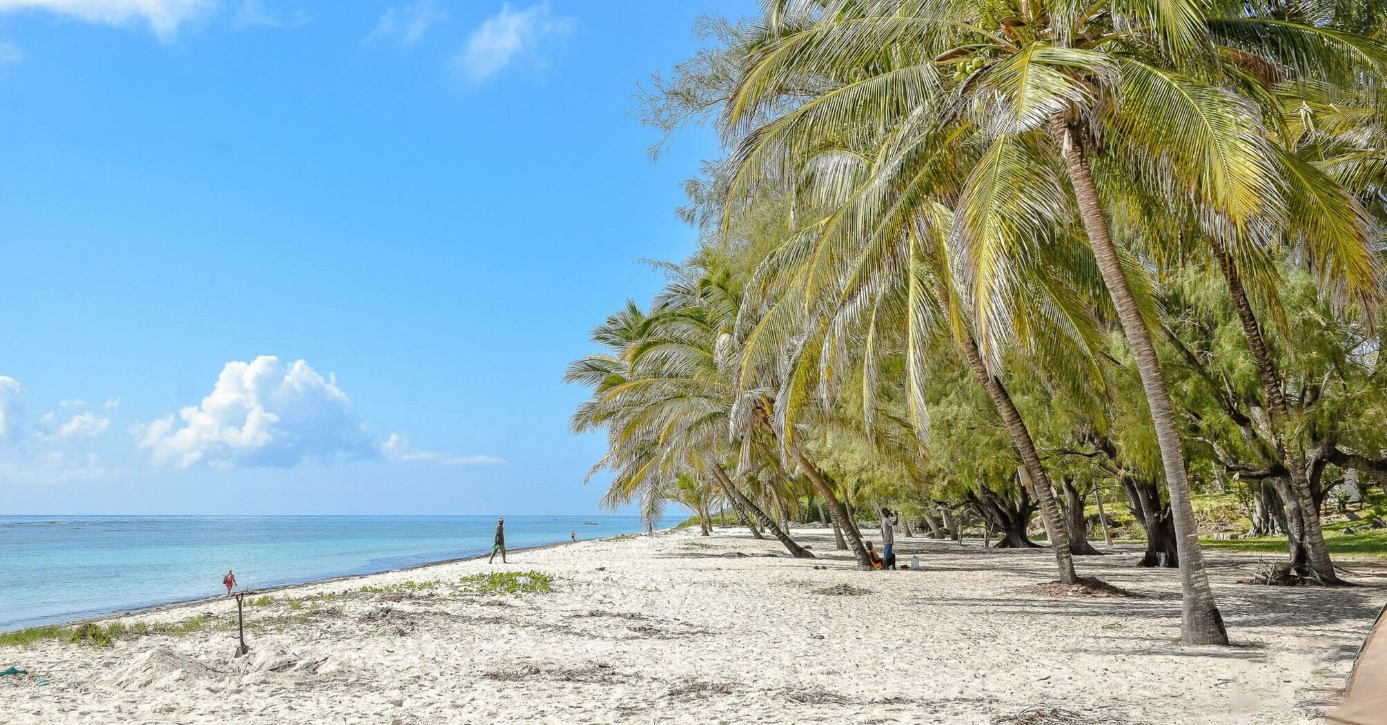 Palm-lined beach on Kenya’s Indian Ocean coast