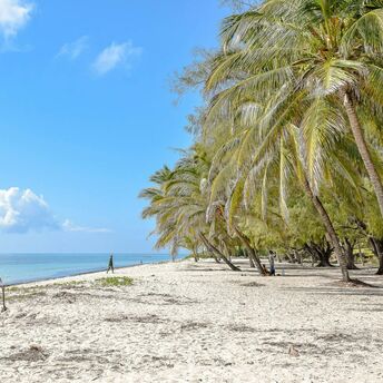 Palm-lined beach on Kenya’s Indian Ocean coast