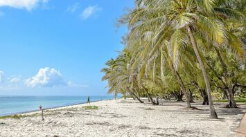 Palm-lined beach on Kenya’s Indian Ocean coast
