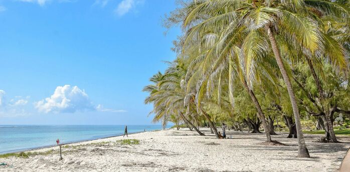 Palm-lined beach on Kenya’s Indian Ocean coast