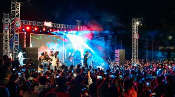 Singer performing on a brightly lit stage before a large crowd at night
