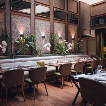 Set tables and indoor plants at Brasserie Sophie in Vienna