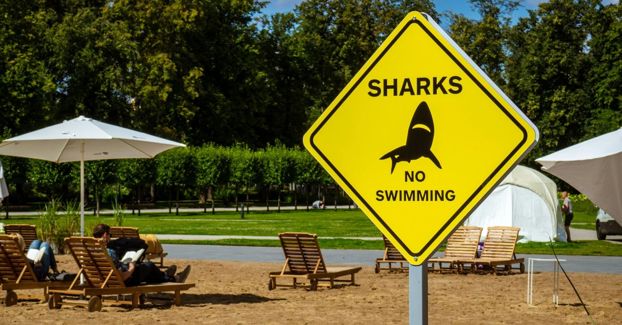 Yellow shark warning sign on a sandy beach with loungers behind