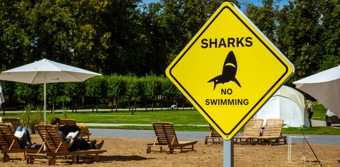 Yellow shark warning sign on a sandy beach with loungers behind