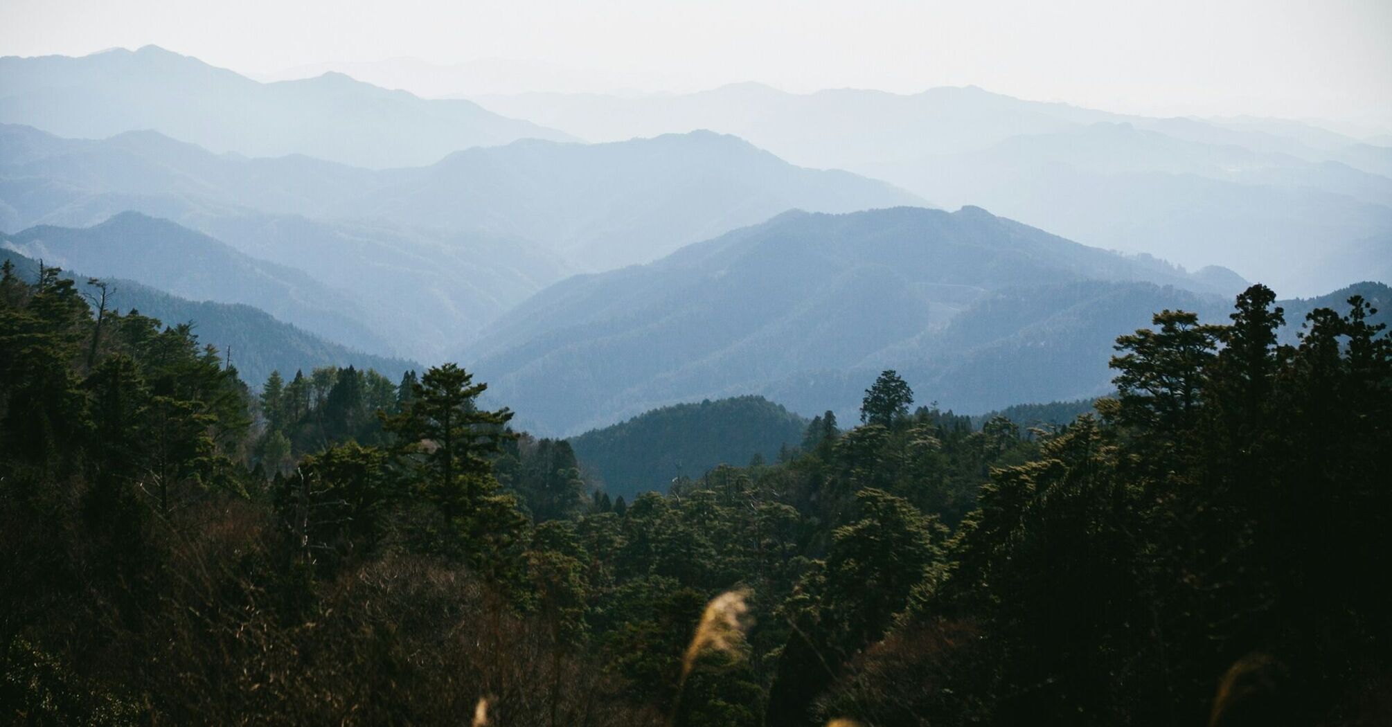 Layered mountain ridges in the Kii mountain range near Mount Kōya