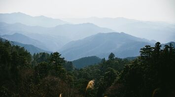 Layered mountain ridges in the Kii mountain range near Mount Kōya