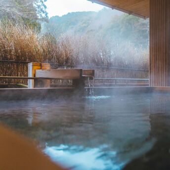 Outdoor hot spring bath surrounded by natural landscape