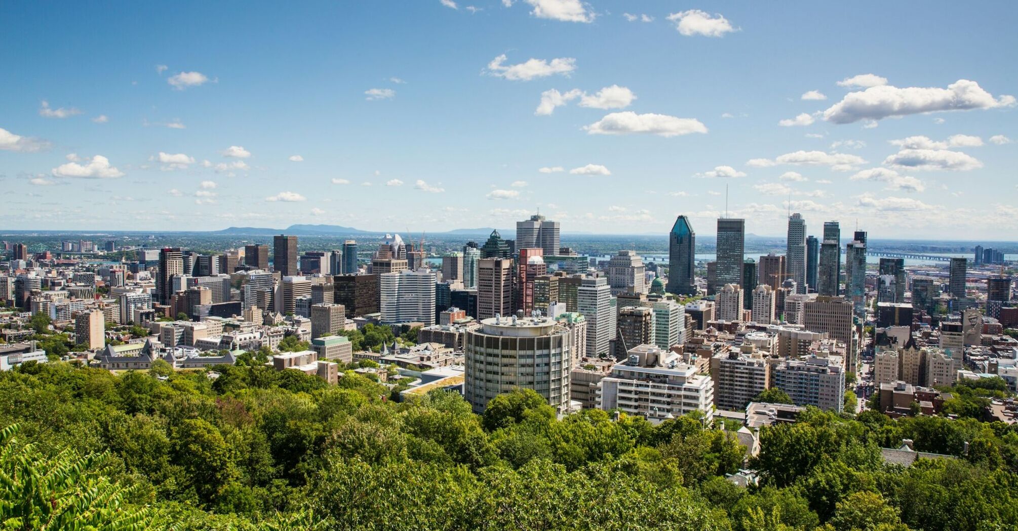 Montréal skyline viewed from Mount Royal overlooking downtown