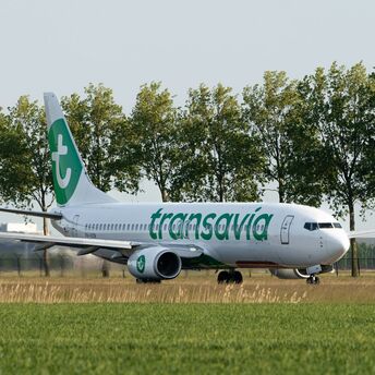 Transavia aircraft on runway with airline branding visible