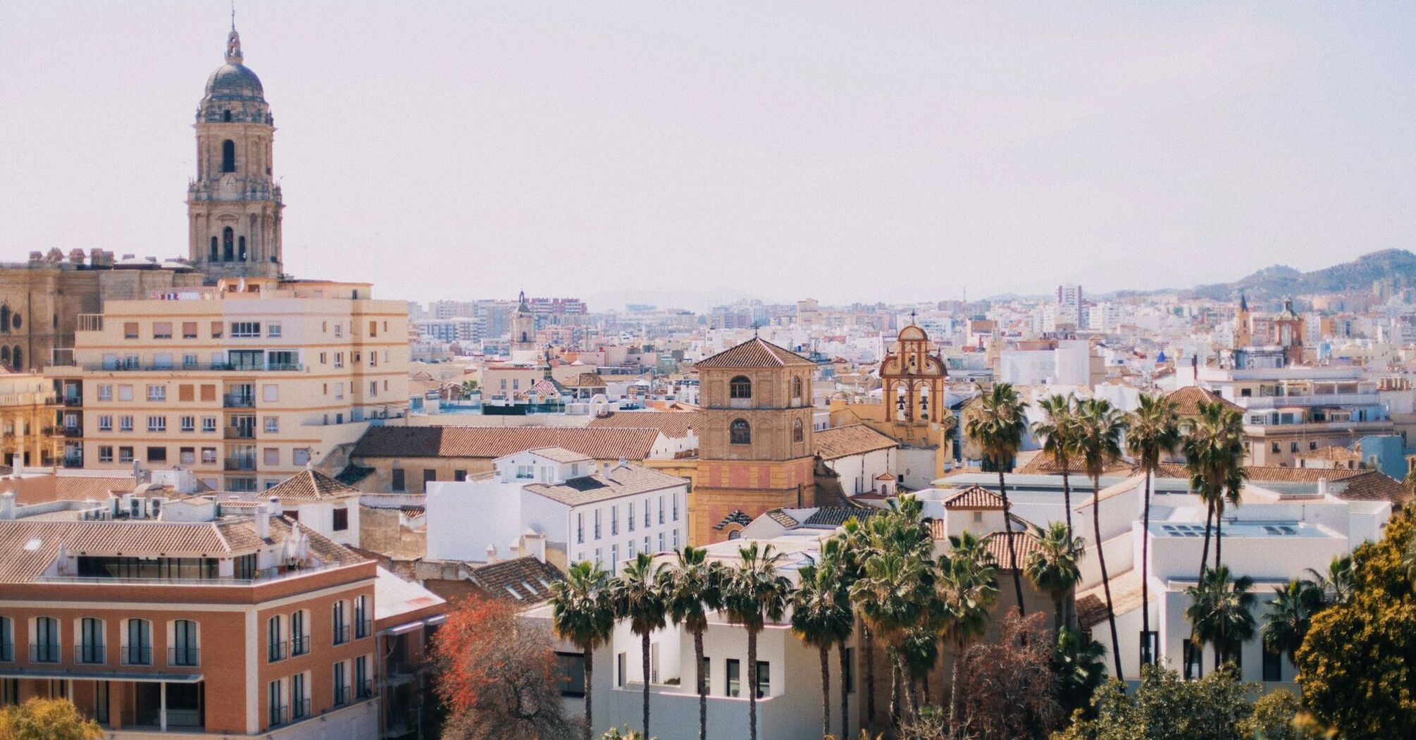 Málaga skyline with cathedral and palm trees