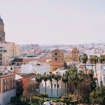 Málaga skyline with cathedral and palm trees