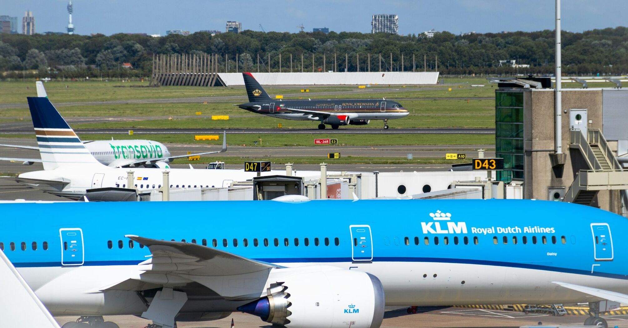 KLM aircraft parked at Amsterdam Schiphol Airport