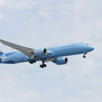 Etihad aircraft in special livery flying in cloudy sky