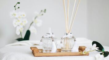 Fragrance diffuser with perfume-inspired ingredients
