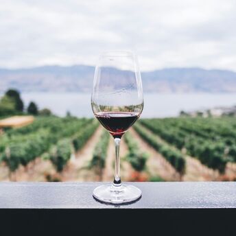 Glass of wine overlooking a vineyard