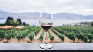 Glass of wine overlooking a vineyard