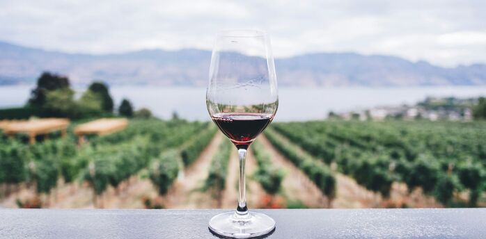 Glass of wine overlooking a vineyard