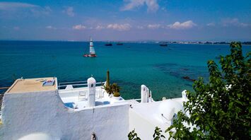 Tunisian coastline with white buildings and blue sea
