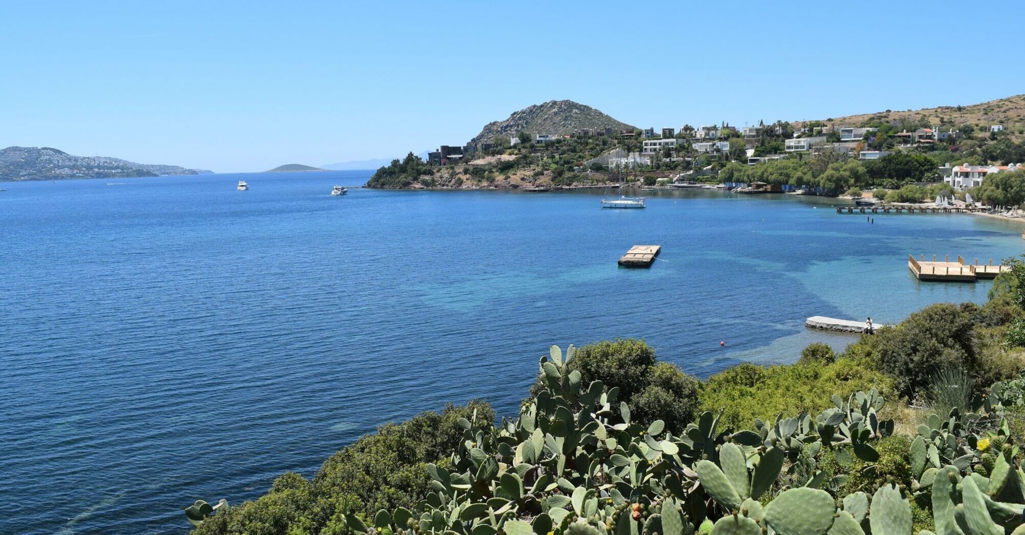 Bodrum coastline with blue sea and cactus