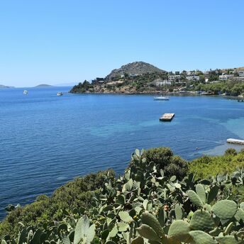 Bodrum coastline with blue sea and cactus