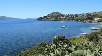 Bodrum coastline with blue sea and cactus