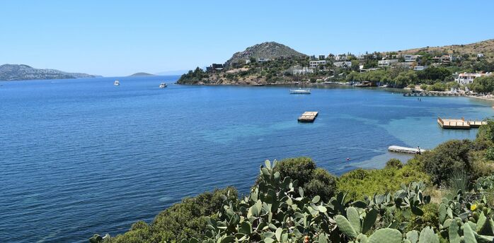 Bodrum coastline with blue sea and cactus