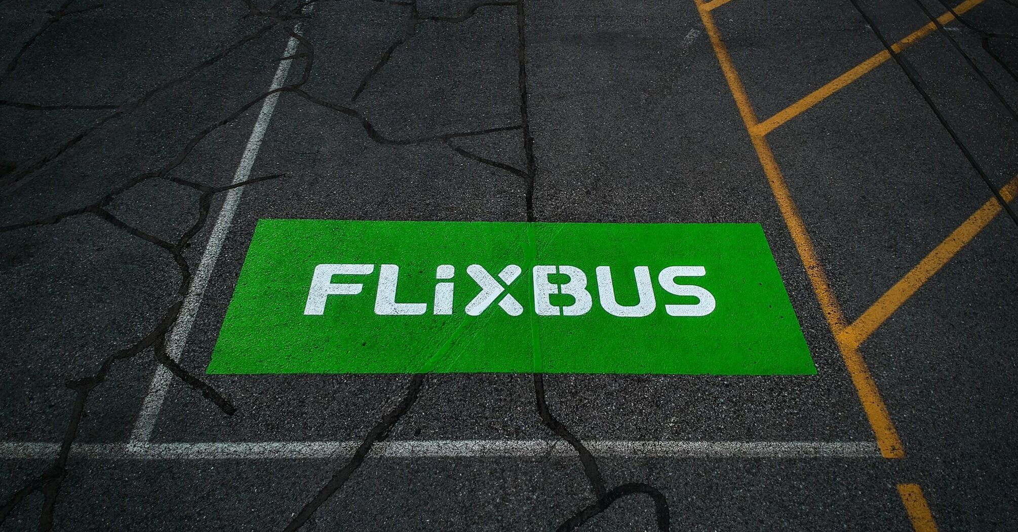 FlixBus logo painted on a marked bus stop area