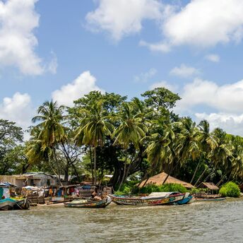 Senegal coastline with palm trees and traditional boats