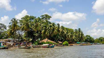 Senegal coastline with palm trees and traditional boats