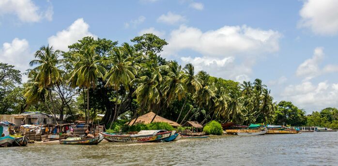 Senegal coastline with palm trees and traditional boats