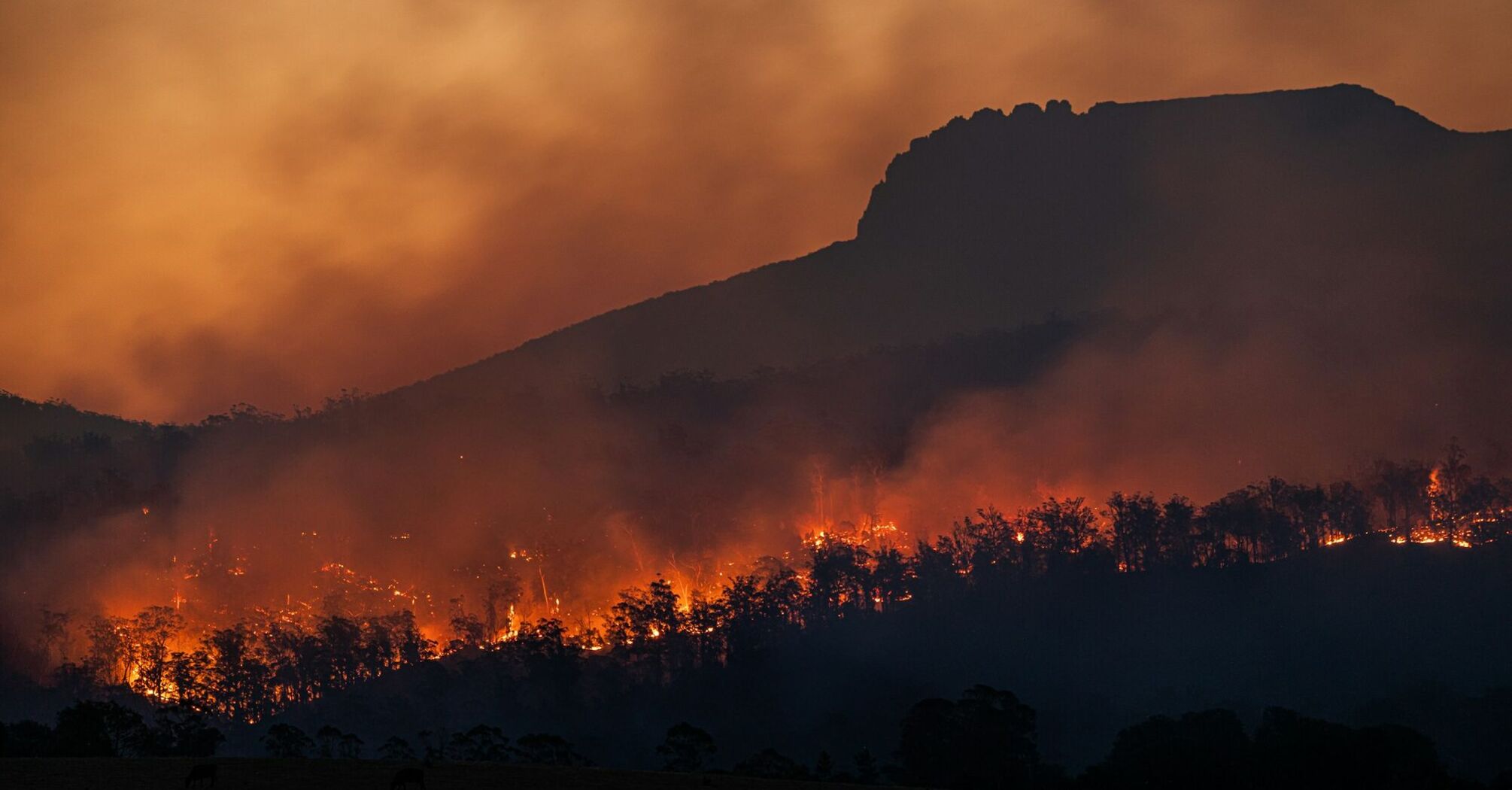 Wildfire burning across hills at sunset