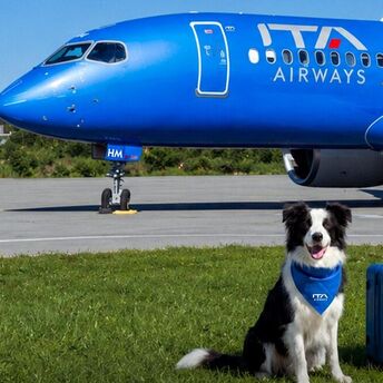 Dog beside an ITA Airways aircraft