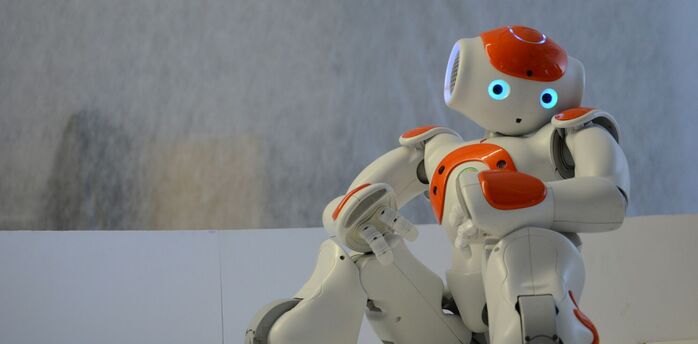 Small humanoid toy robot