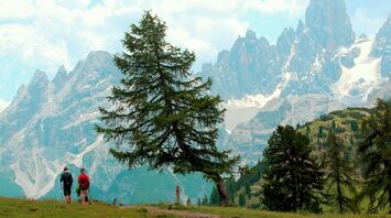Hikers in the Trentino-Alto Adige mountains