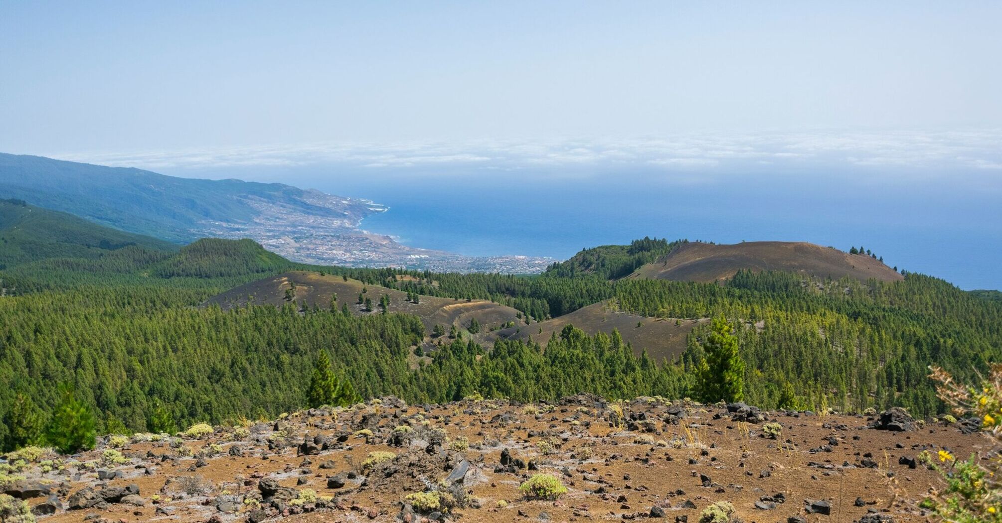 Forest and volcanic landscape in the Canary Islands