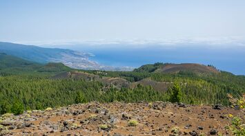 Forest and volcanic landscape in the Canary Islands