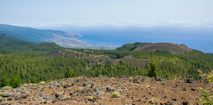 Forest and volcanic landscape in the Canary Islands