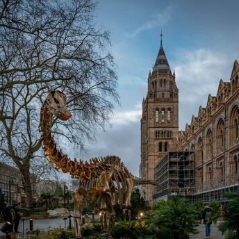 Natural History Museum exterior with dinosaur display