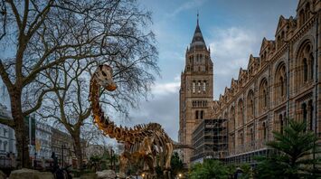 Natural History Museum exterior with dinosaur display