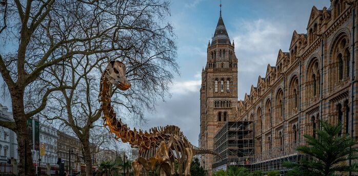 Natural History Museum exterior with dinosaur display