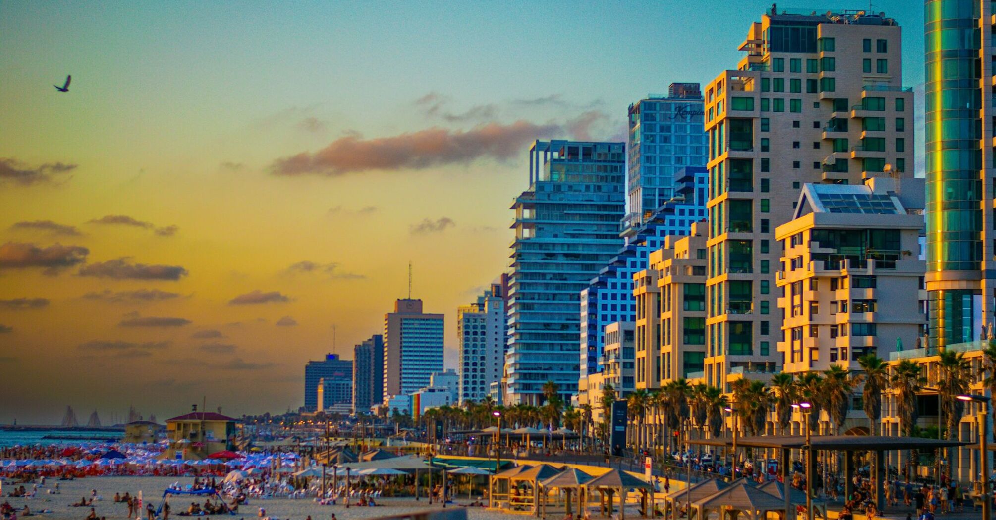 Tel Aviv beachfront and city skyline at sunset