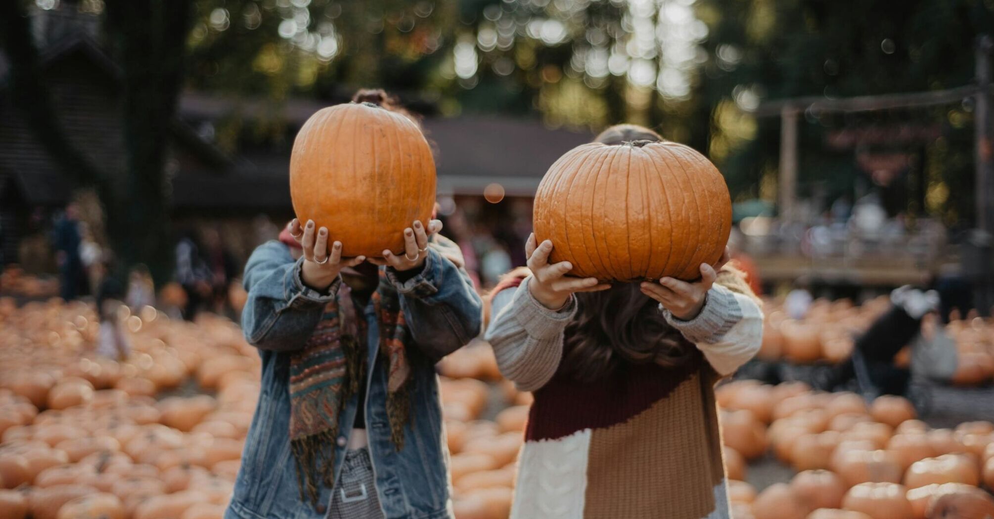 Visitors holding pumpkins at a pumpkin patch