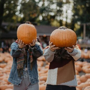 Visitors holding pumpkins at a pumpkin patch