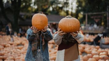 Visitors holding pumpkins at a pumpkin patch