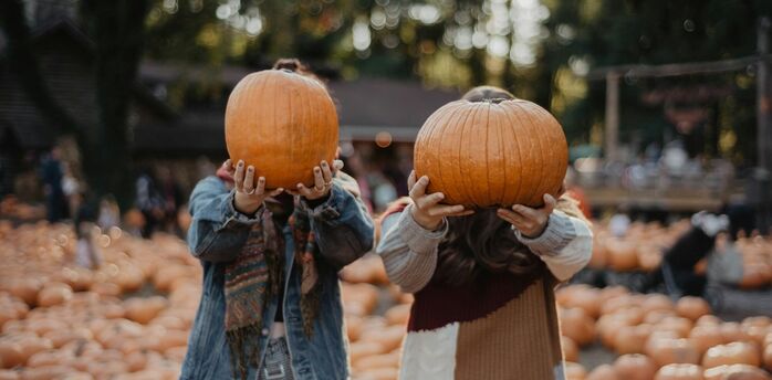 Visitors holding pumpkins at a pumpkin patch
