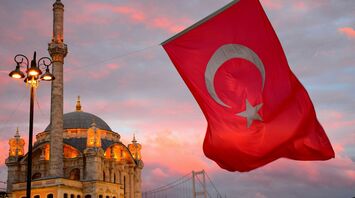 Turkish flag beside a mosque in Istanbul