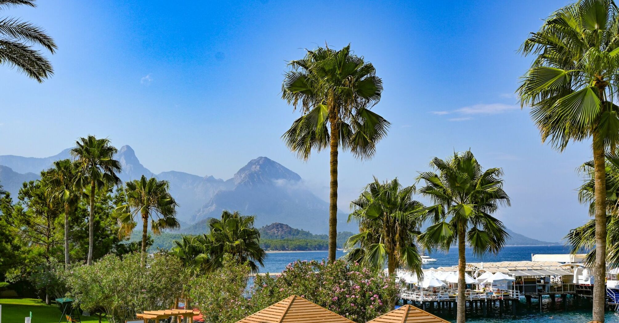 Palm-lined Mediterranean resort with mountain views