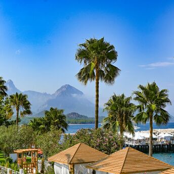 Palm-lined Mediterranean resort with mountain views